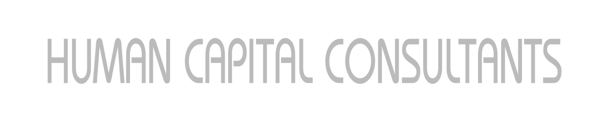 Human Capital Consultants